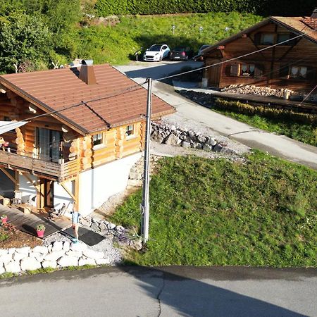 Chalet Dreamtime Les Villards-sur-Thônes 外观 照片